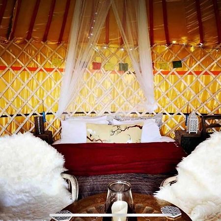 Traditional Yurt @ Longleat Warminster Luaran gambar